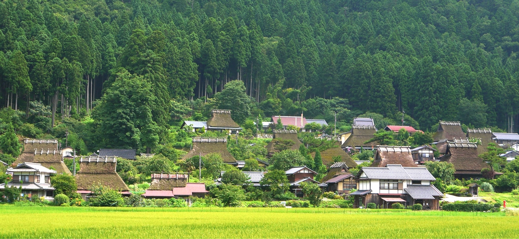 JAグループ京都農業法人協会